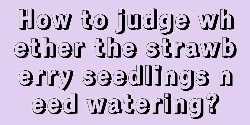 How to judge whether the strawberry seedlings need watering?