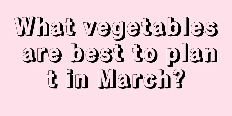 What vegetables are best to plant in March?