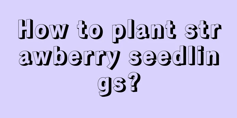 How to plant strawberry seedlings?