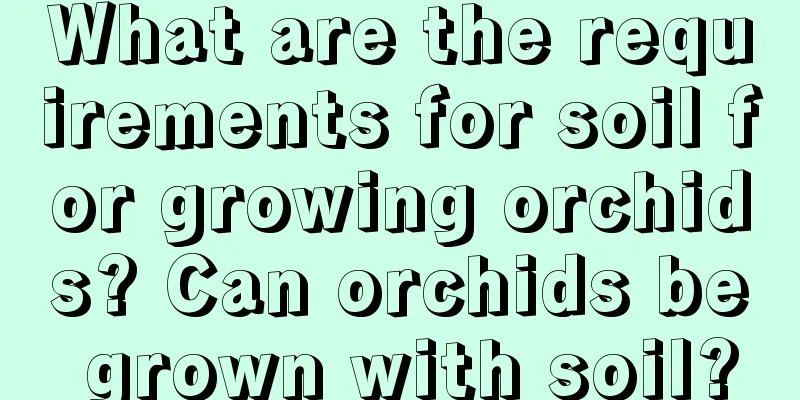 What are the requirements for soil for growing orchids? Can orchids be grown with soil?