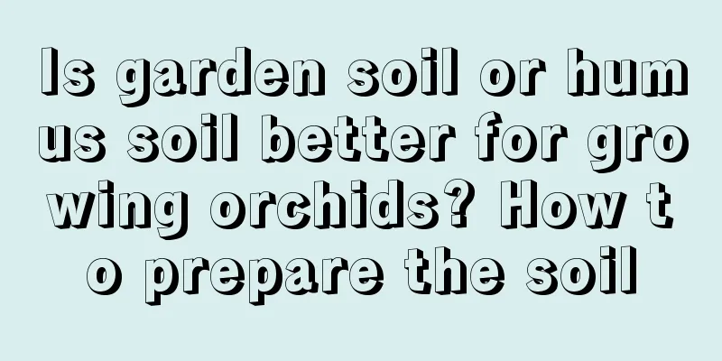 Is garden soil or humus soil better for growing orchids? How to prepare the soil