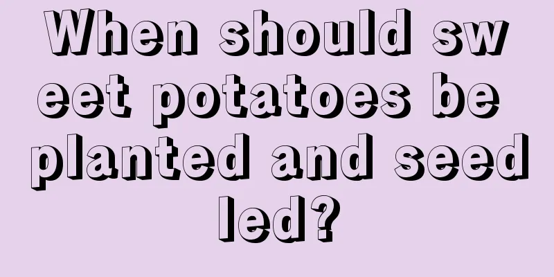 When should sweet potatoes be planted and seedled?