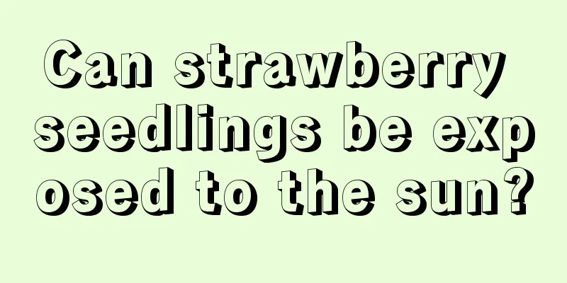 Can strawberry seedlings be exposed to the sun?