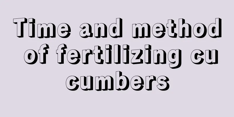 Time and method of fertilizing cucumbers