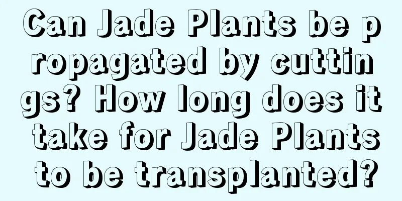 Can Jade Plants be propagated by cuttings? How long does it take for Jade Plants to be transplanted?