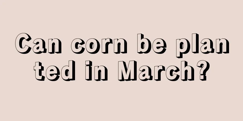 Can corn be planted in March?