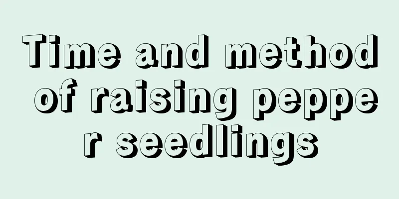 Time and method of raising pepper seedlings