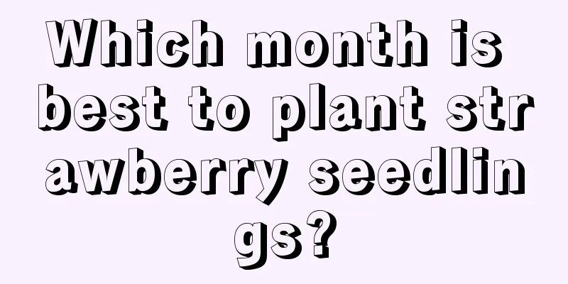 Which month is best to plant strawberry seedlings?