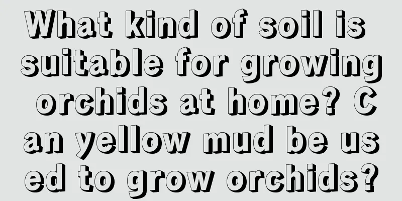 What kind of soil is suitable for growing orchids at home? Can yellow mud be used to grow orchids?