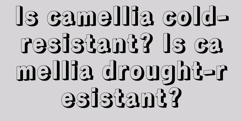 Is camellia cold-resistant? Is camellia drought-resistant?