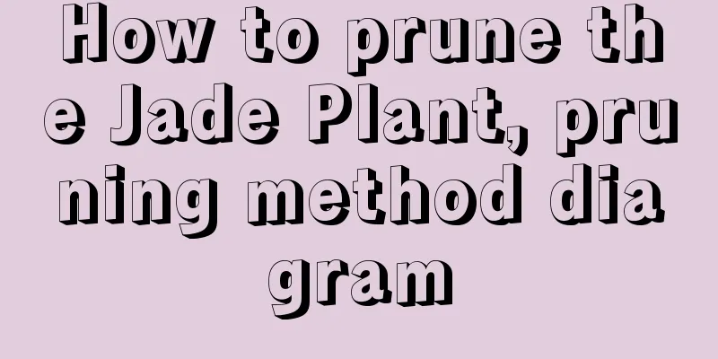 How to prune the Jade Plant, pruning method diagram