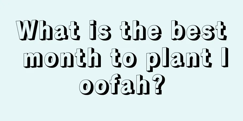 What is the best month to plant loofah?