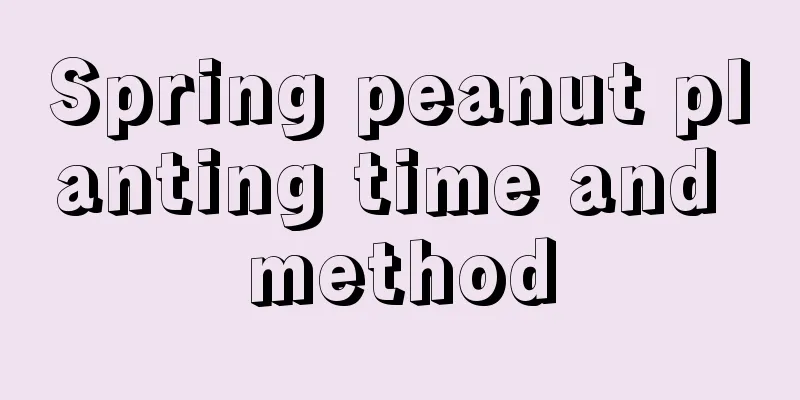 Spring peanut planting time and method