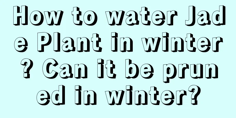 How to water Jade Plant in winter? Can it be pruned in winter?