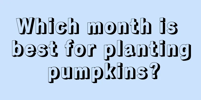 Which month is best for planting pumpkins?