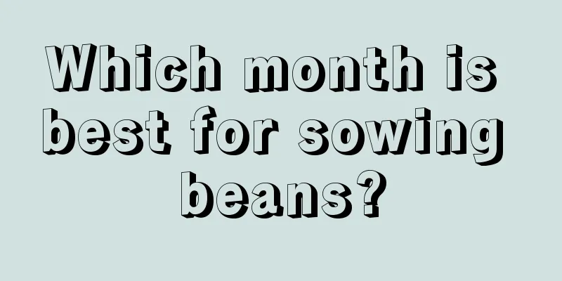 Which month is best for sowing beans?