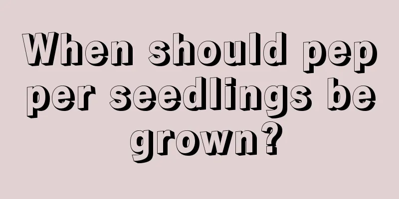 When should pepper seedlings be grown?