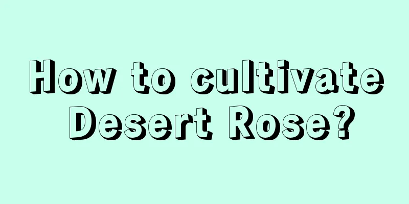 How to cultivate Desert Rose?