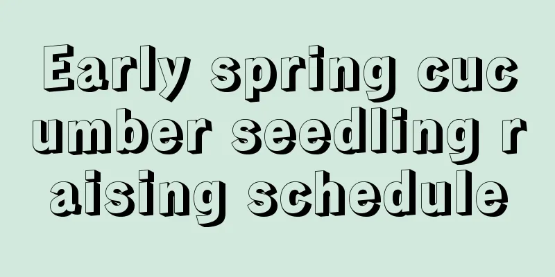 Early spring cucumber seedling raising schedule