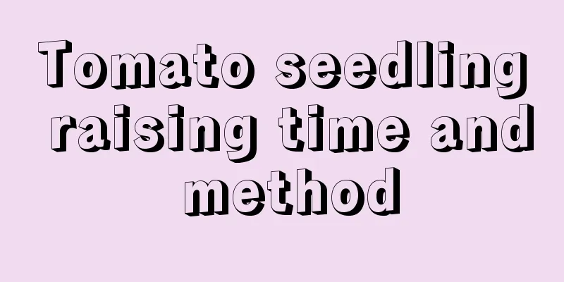 Tomato seedling raising time and method