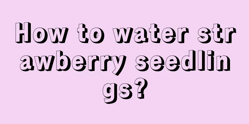 How to water strawberry seedlings?