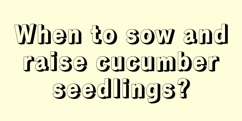 When to sow and raise cucumber seedlings?