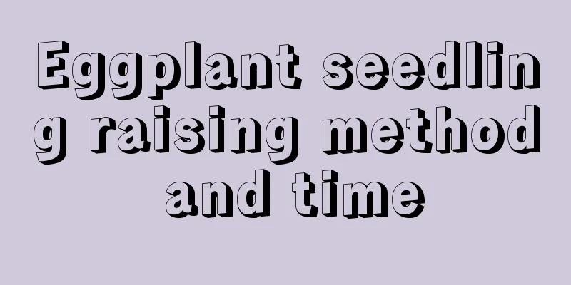 Eggplant seedling raising method and time