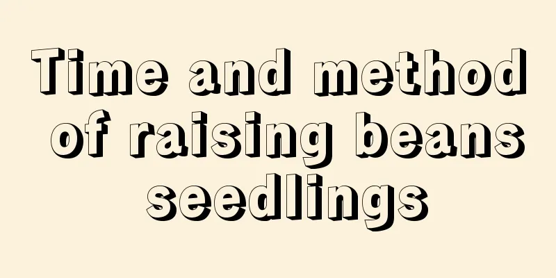 Time and method of raising beans seedlings