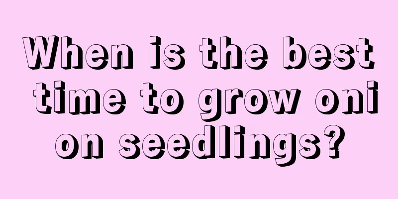 When is the best time to grow onion seedlings?