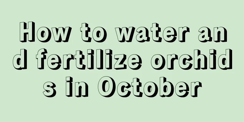 How to water and fertilize orchids in October