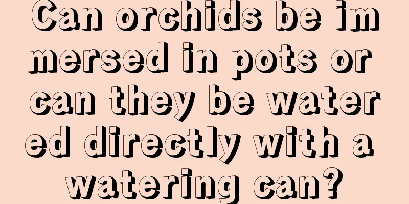 Can orchids be immersed in pots or can they be watered directly with a watering can?