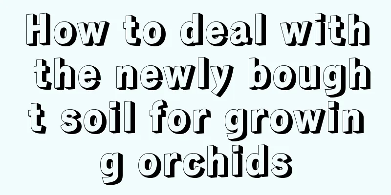 How to deal with the newly bought soil for growing orchids