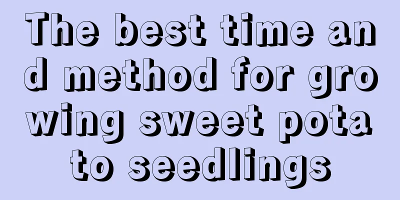 The best time and method for growing sweet potato seedlings