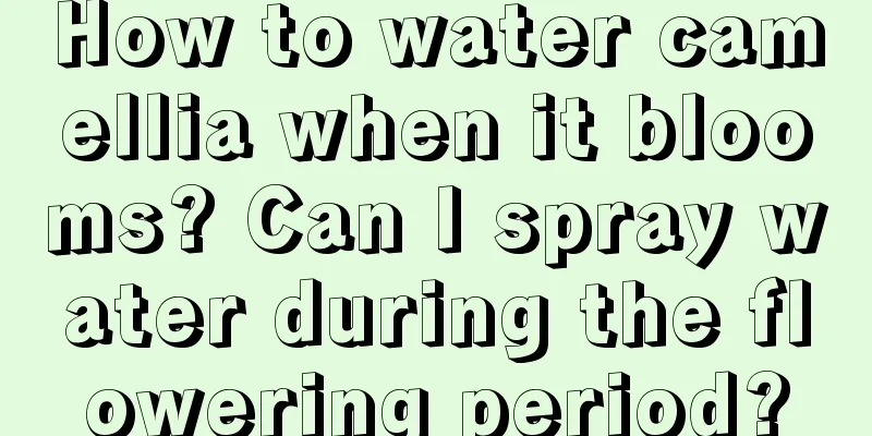 How to water camellia when it blooms? Can I spray water during the flowering period?