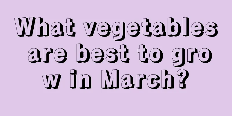 What vegetables are best to grow in March?