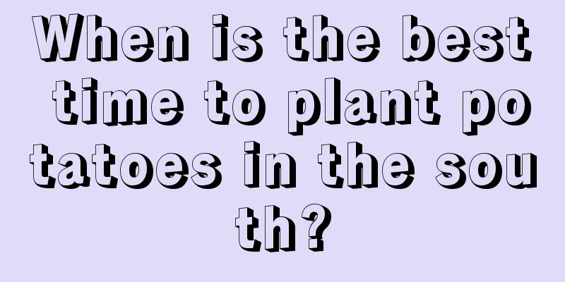 When is the best time to plant potatoes in the south?