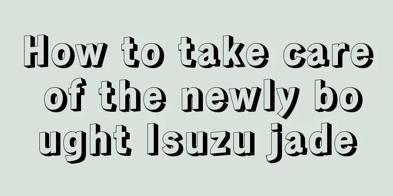 How to take care of the newly bought Isuzu jade