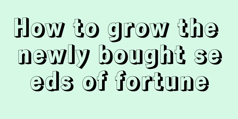 How to grow the newly bought seeds of fortune