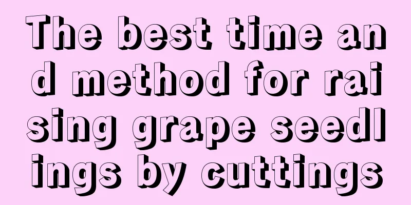 The best time and method for raising grape seedlings by cuttings