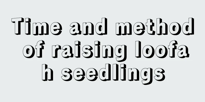 Time and method of raising loofah seedlings