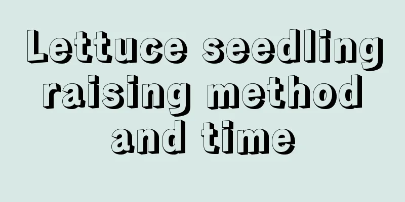 Lettuce seedling raising method and time