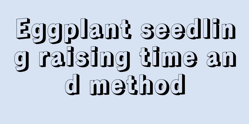 Eggplant seedling raising time and method