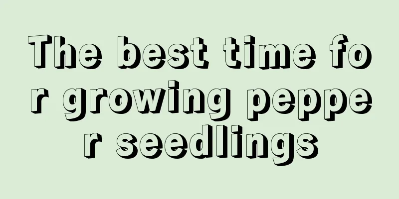 The best time for growing pepper seedlings