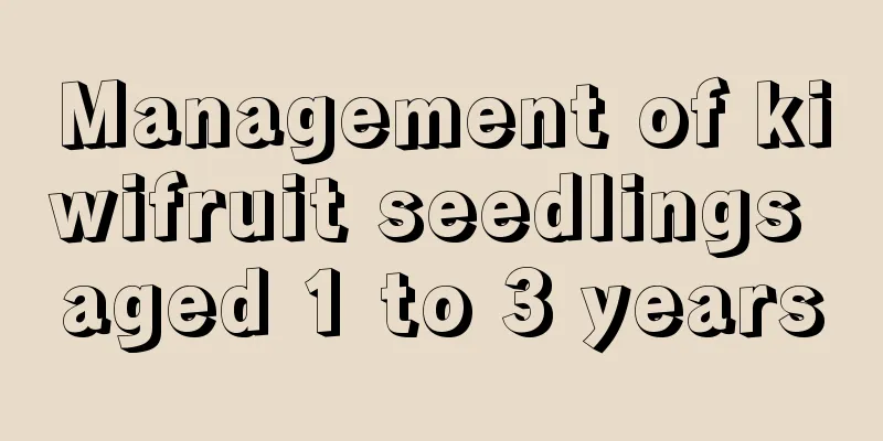 Management of kiwifruit seedlings aged 1 to 3 years