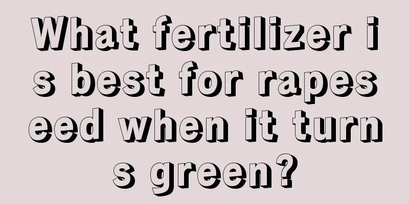 What fertilizer is best for rapeseed when it turns green?