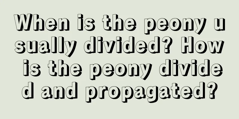 When is the peony usually divided? How is the peony divided and propagated?