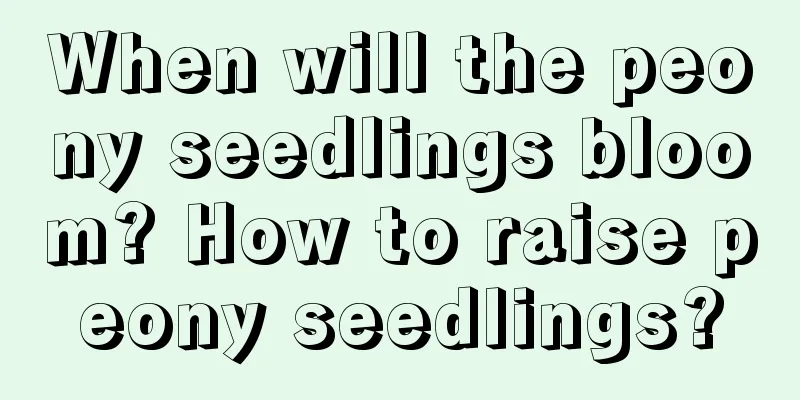 When will the peony seedlings bloom? How to raise peony seedlings?