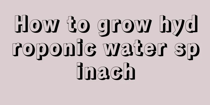 How to grow hydroponic water spinach