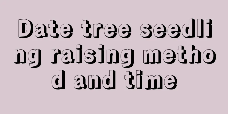 Date tree seedling raising method and time