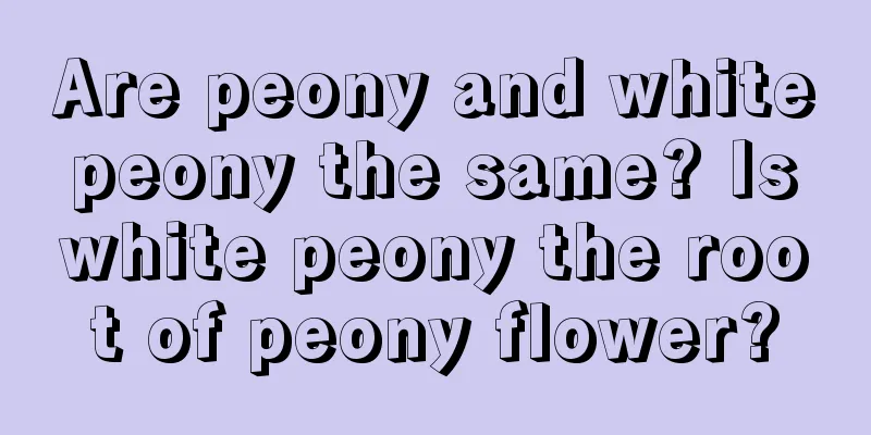 Are peony and white peony the same? Is white peony the root of peony flower?